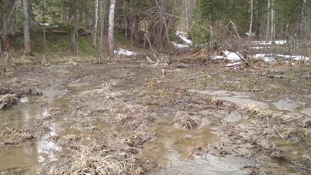 Зеленый Двор. Ручей возле дома) смотреть онлайн