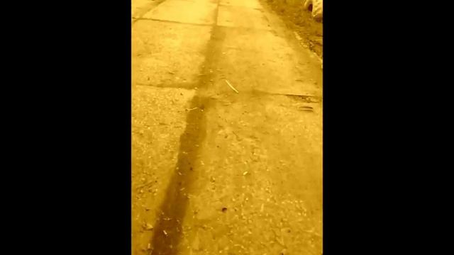 топ альтокоины 2021 смотреть онлайн