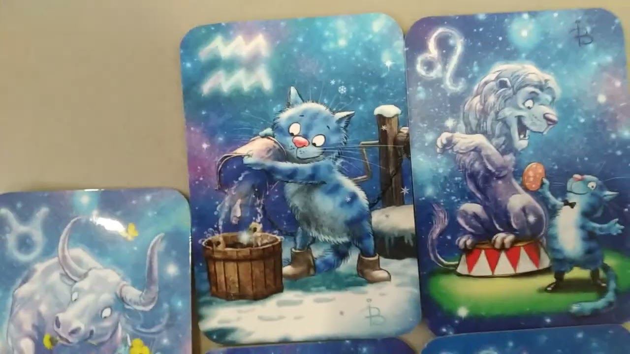 Пушистые котики