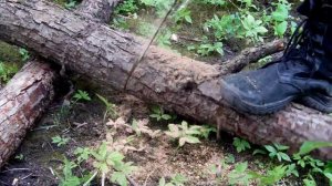 Пила туристическая (Цепная) Барнаул