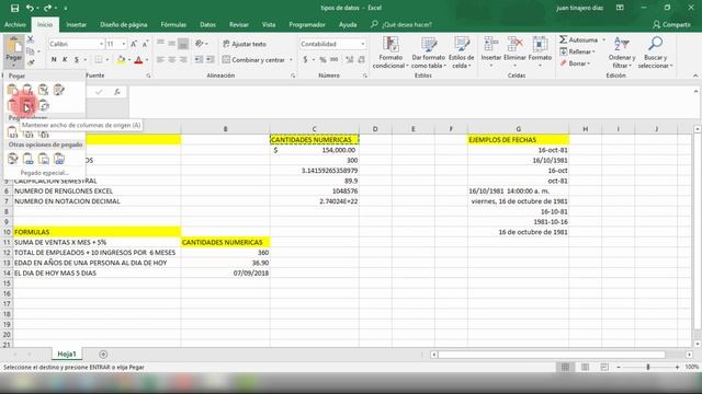 Curso Excel 2016, Excel 2019, Excel 365: 10.- INTRODUCIR DATOS EN UNA HOJA DE EXCEL, EDITAR PARTE 2 смотреть онлайн