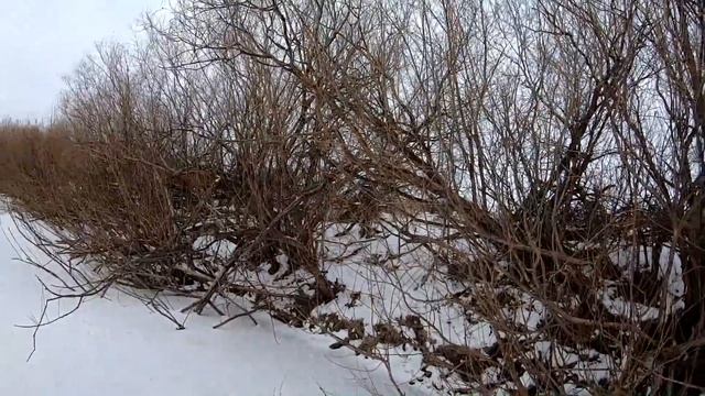 УДАЧНАЯ РЫБАЛКА ХАПУГАМИ...НОВЫЕ МЕСТА-НОВЫЕ ТРОФЕИ... ЭТА СНАСТЬ ДАРИТ КУЧУ ЭМОЦИЙ. смотреть онлайн