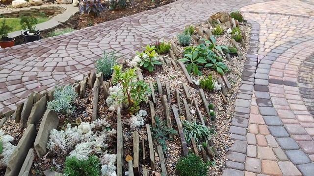 Чешская скалка на нашем участке! смотреть онлайн
