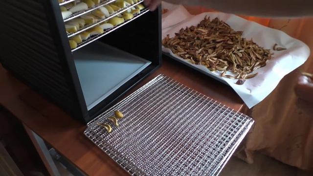 Искусство и Таланты