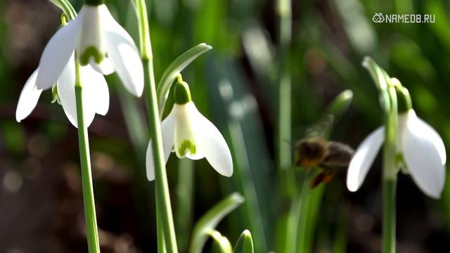 Самые богатые женщины по знаку зодиака смотреть онлайн