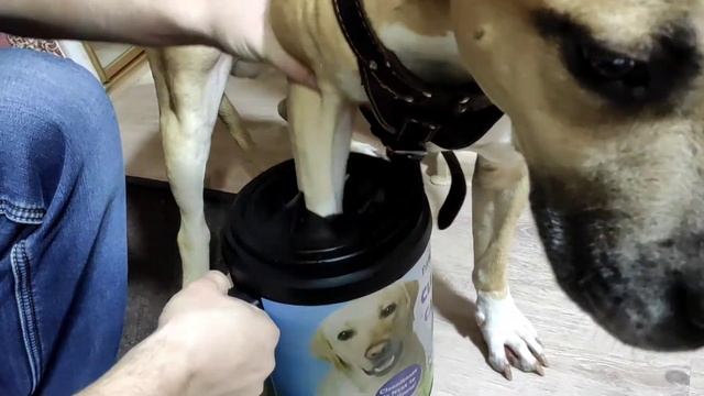 Лапомойка для собак PAW PLUNGER ? смотреть онлайн