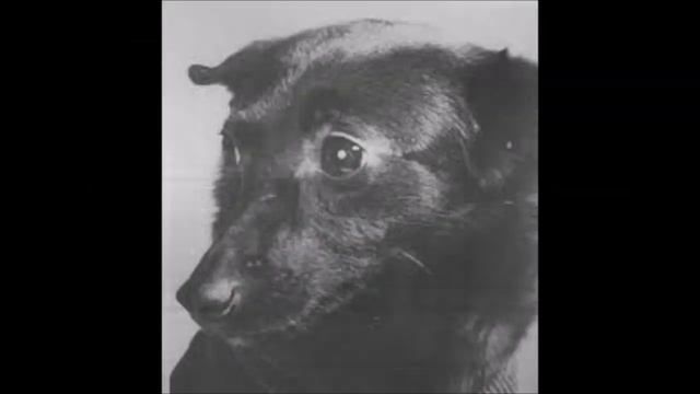 Chernushka Чернушка Sputnik 9 Спутник-9.mp4 смотреть онлайн