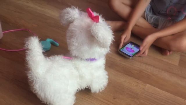 Обзор Интерактивная собака Гого, щенок GoGo FurReal Friends Hasbro смотреть онлайн