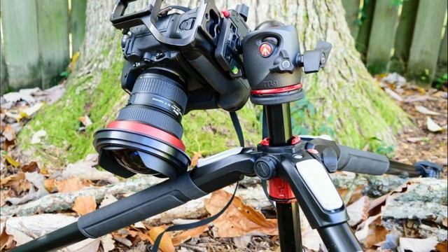 Best Tripod Ball Head in 2022 - Top 5 Picks & Things You Should Know смотреть онлайн