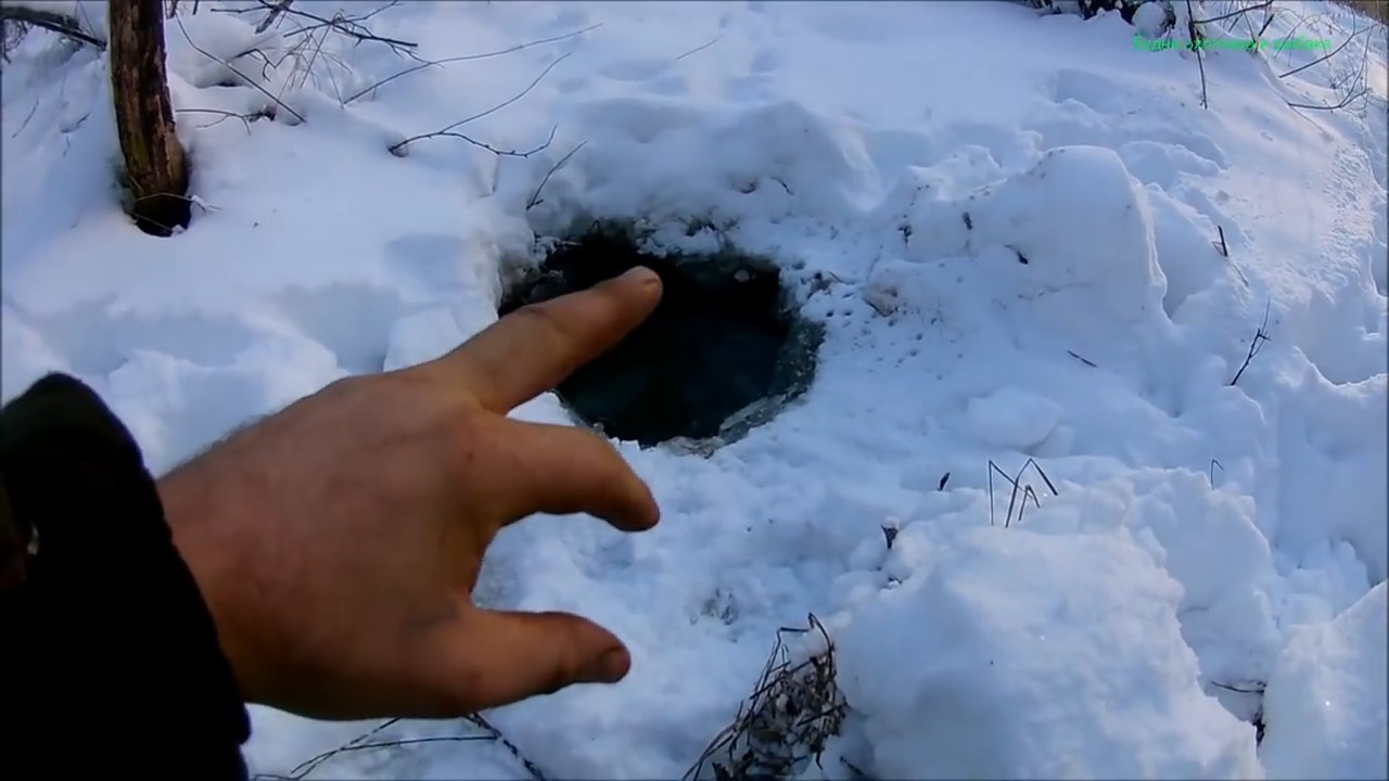 Зимний выход бобра.Охота на бобра (Будни охотника и рыбака) смотреть онлайн