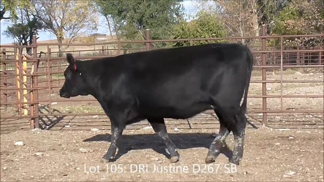 Lot 105: DRI Justine D267 SB смотреть онлайн