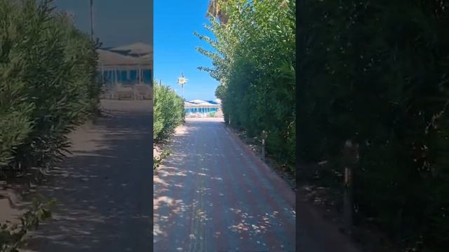 отдых в Турции Отель"Camyuva Beach Hotel" 25 08 2022 смотреть онлайн