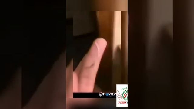 Elev8 выводит Паразитов смотреть онлайн