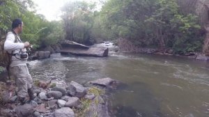 Первый Выезд на Горную Форель в Армении в 2020 /// 2020 First Wild Trout Fishing in Armenian