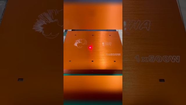 Процесс нанесении гравировки на корпус усилителя Piranha #dlaudio #Piranha #Amplifiers смотреть онлайн