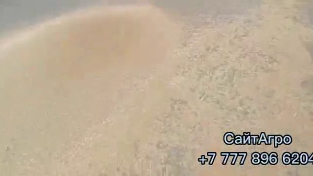 Самоходный Алмаз МС-20/10 на площадке элеватора!