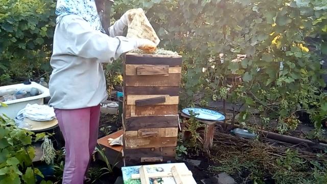 Обработка улья от клеща. Пчеловодство с ноля в ульях Варрэ. смотреть онлайн