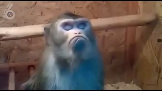 Как обижаются девушки ) смотреть онлайн