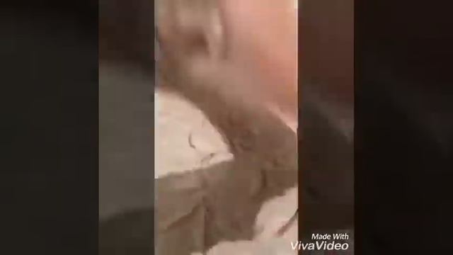 Меседо Гаджиева барельеф цветы готово❤️ смотреть онлайн