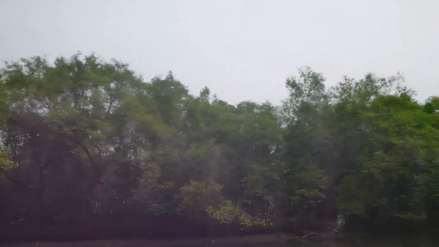 Индия/ч.4/Гоа/В поисках крокодилов смотреть онлайн