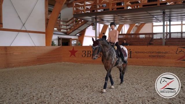 Разбираем проблему, когда лошадь спешит. Конный спорт. Тренировка. Темп и ритм. Верховая езда. смотреть онлайн