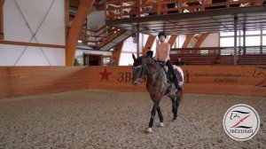 Разбираем проблему, когда лошадь спешит. Конный спорт. Тренировка. Темп и ритм. Верховая езда.