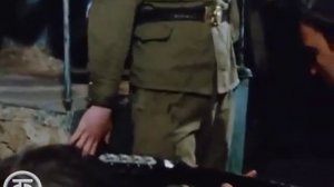 Пограничники. Документальный фильм (1978)