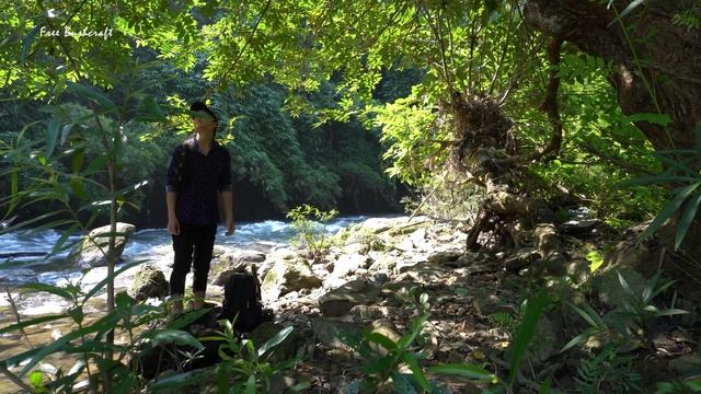 Full Video: 365 Days Solo Bushcraft & Camping - Building Survival Shelter - Free Bushcraft