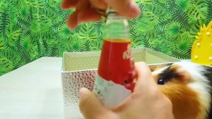 Красная VS Желтая Еда Челлендж | Еда Одного Цвета | Попробуем еду с Бузей и Кузей