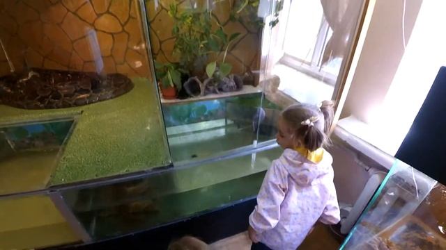 Экзотариум в Нижнем Новгороде смотреть онлайн