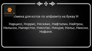 +500 прикольных и редких имен для  кошек  от А до Я
