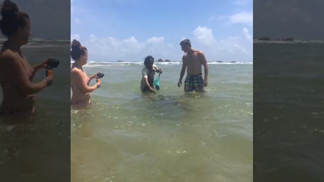 Hikkaduwa Beach Sri Lanka 2017 | SNORKELING IN HIKKADUWA смотреть онлайн