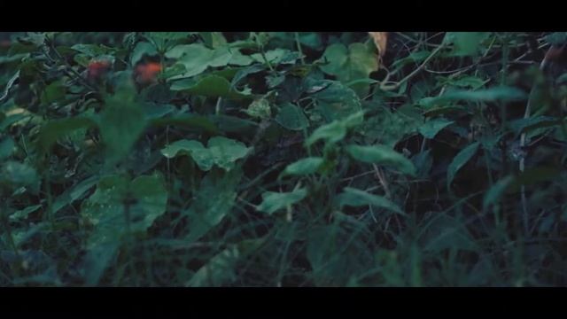 TRICK or TREAT #HalloweenParty смотреть онлайн