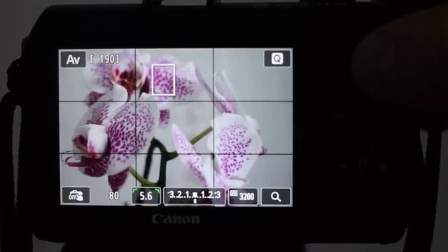 Canon EOS M, работа автофокуса смотреть онлайн