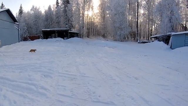 E-flite UMX Twin Otter New Years Eve Flight Part 1