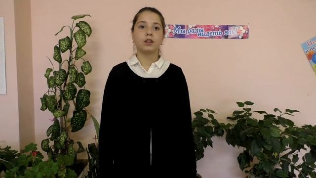 ШСП смотреть онлайн