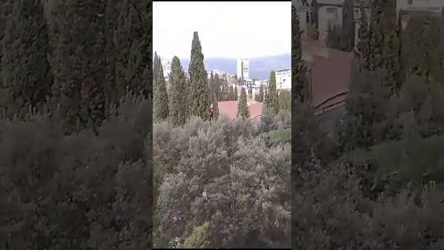 Ялта, вид из окна 24.11.23 смотреть онлайн