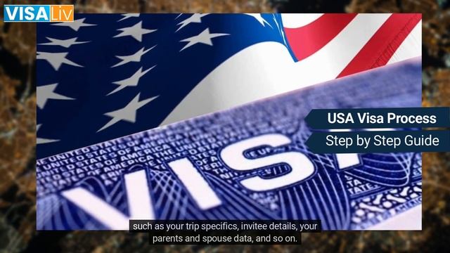 USA Visa Process смотреть онлайн