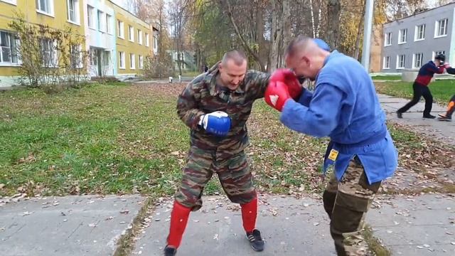 Медведи тренируются. ?????