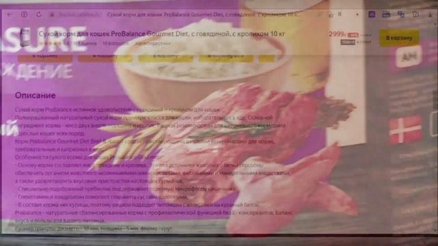 Всё самое нужное для любимых кошек смотреть онлайн