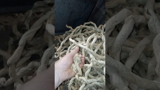 Экструдер зерновой смотреть онлайн