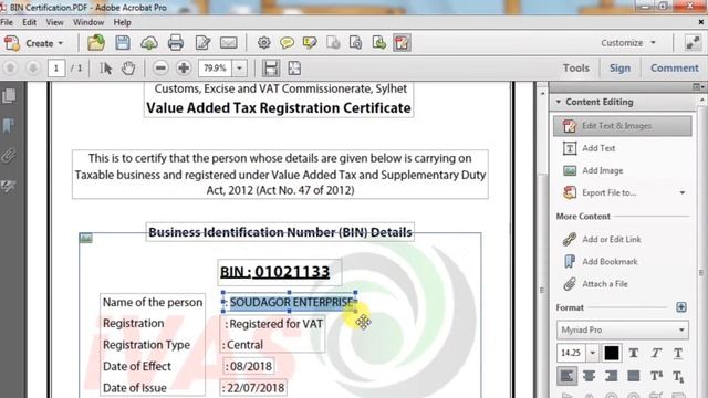 OFFLINE | How to EDIT PDF FILE in Adobe Acrobat Reader смотреть онлайн