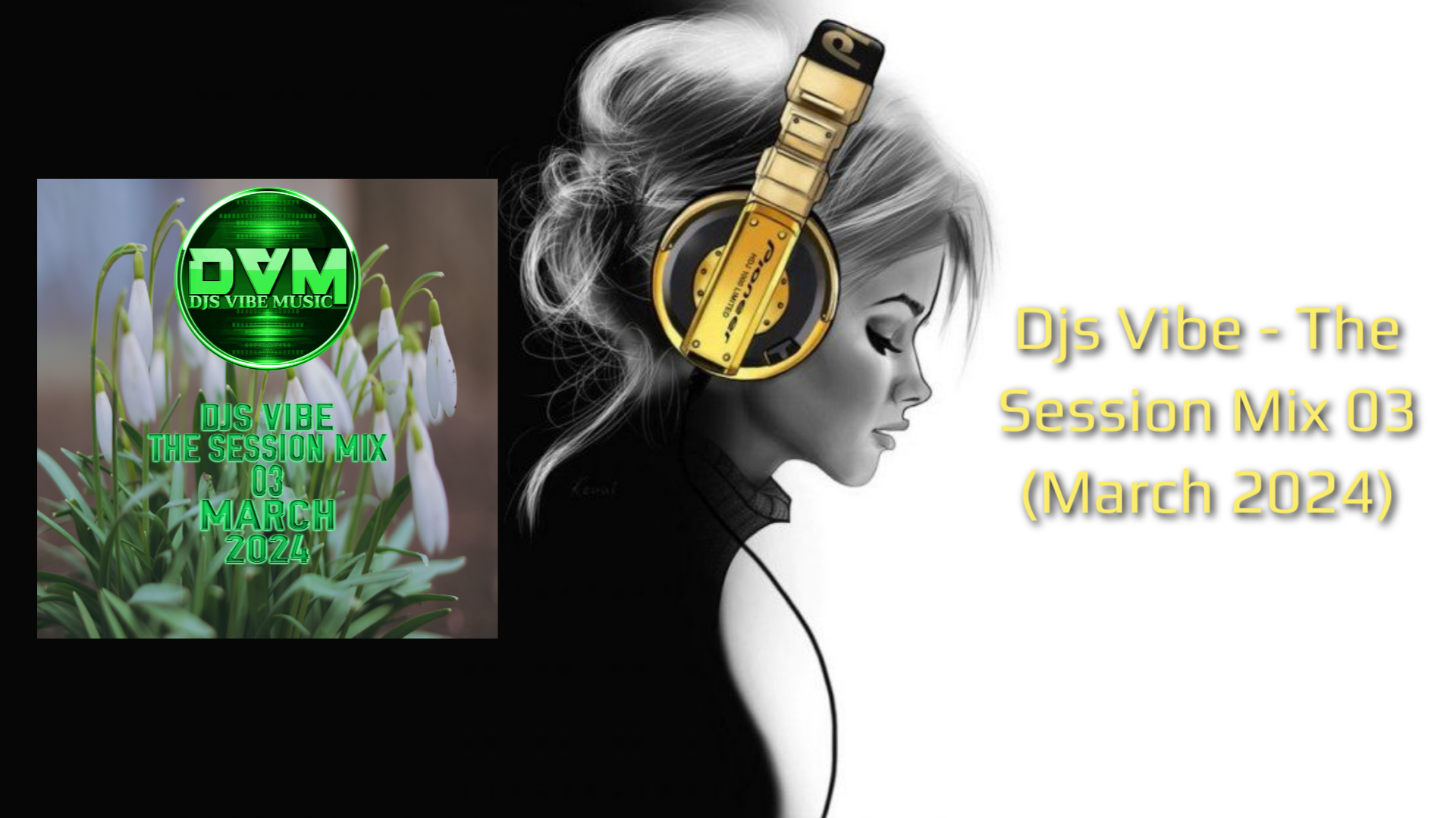 Djs Vibe - The Session Mix 03 (March 2024)