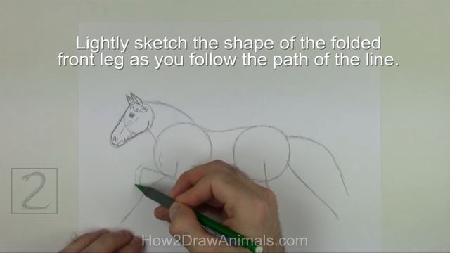 How to Draw a Horse Running смотреть онлайн