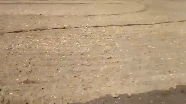 Поездка длинной в 18 км.Опять втроём на Минске.