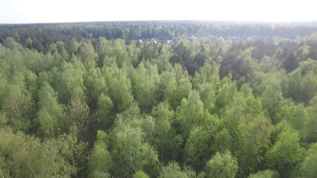 СНТ Локомотивное депо Железнодорожное смотреть онлайн