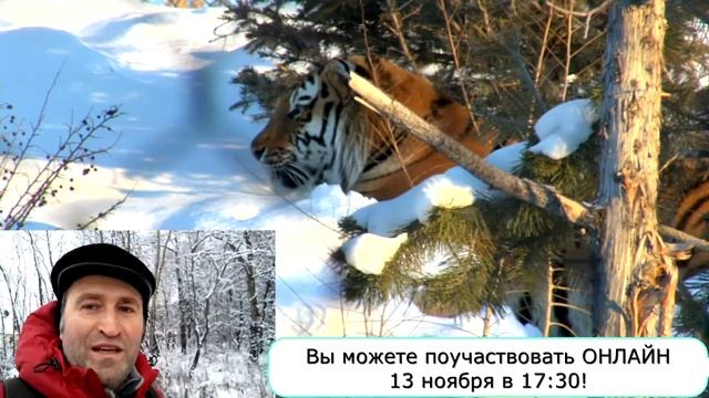 Что будет в это воскресенье на ЙОГА КЛУБЕ? смотреть онлайн