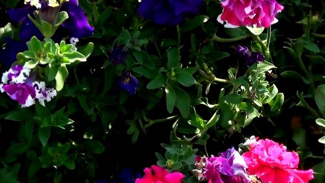 Цветочная фантазия. Flower Fantasy.