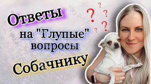 Ответы на «глупые» вопросы собачнику