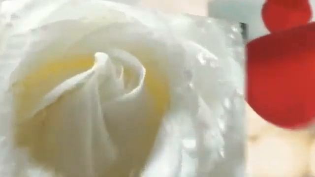 Я Люблю Тебя, Видеооткрытка